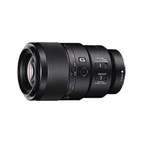 Sony FE 90mm F2.8 Macro G OSS Lens