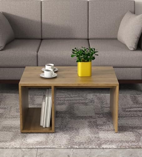 Spacewood CT 104 Engineered Wood Center Table
