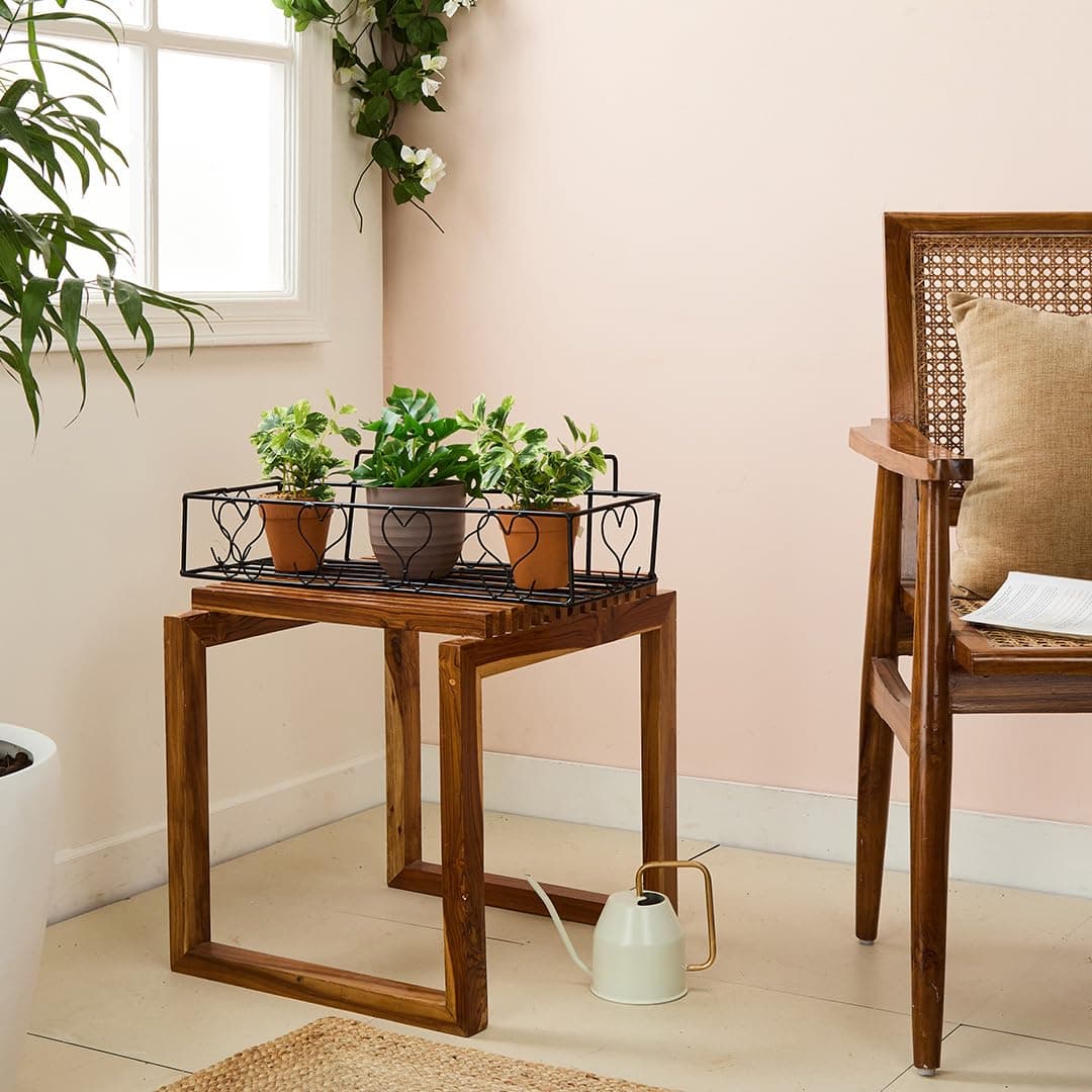 Amazon Brand Solimo Metal Railing Pot Stand