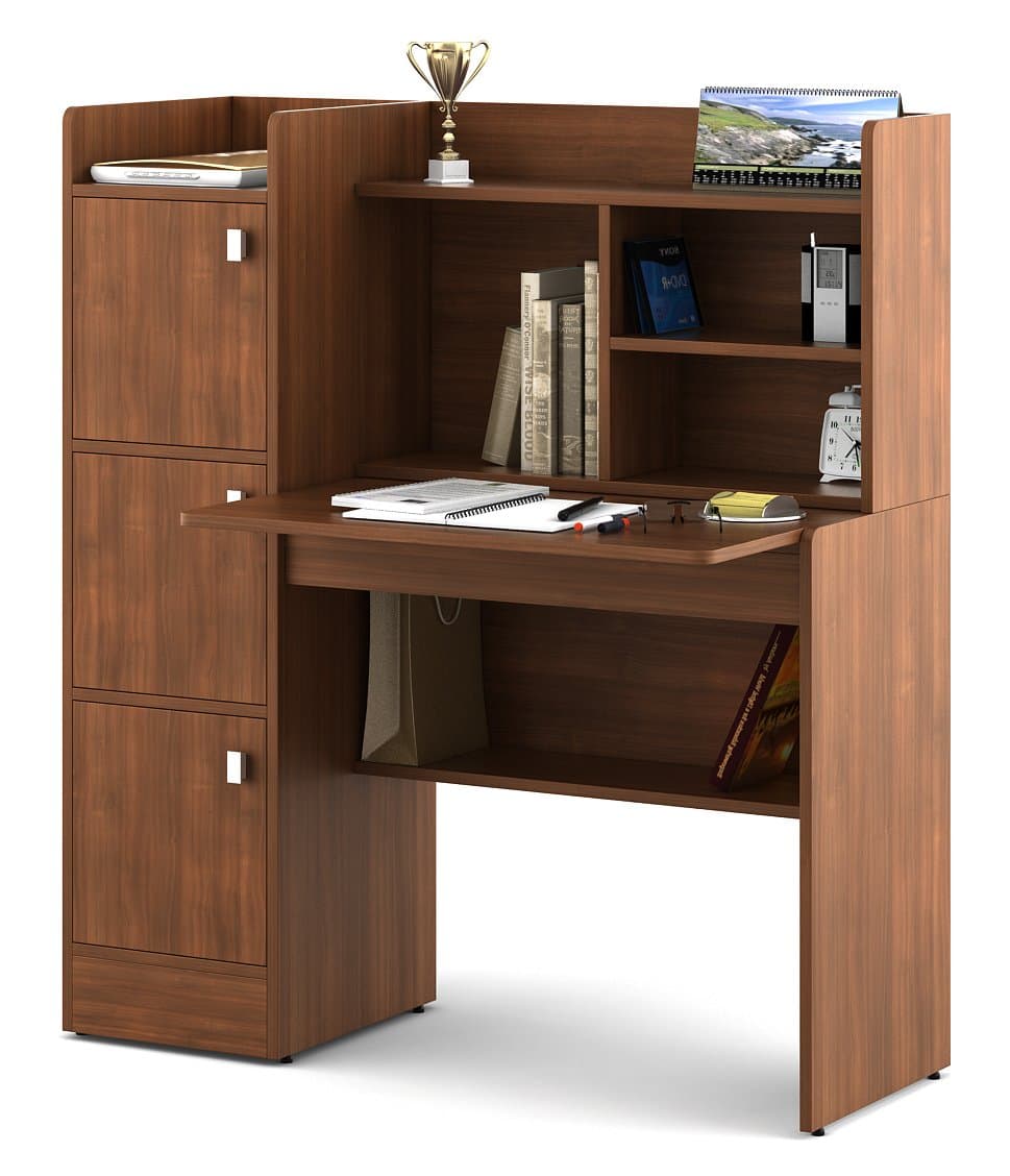 Spacewood Winner Engineered Wood Study Desk with Bookshelf