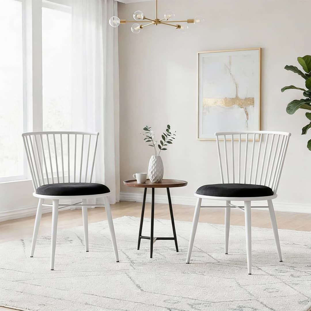 Solimo Iron Chair with Cushioned Seat (Set of 2)