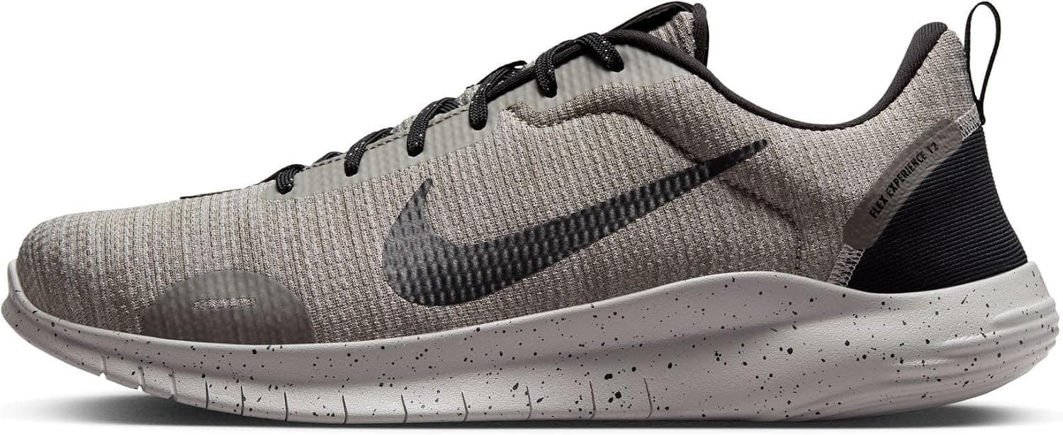 Nike Flex Experience Run 12 Running Shoes