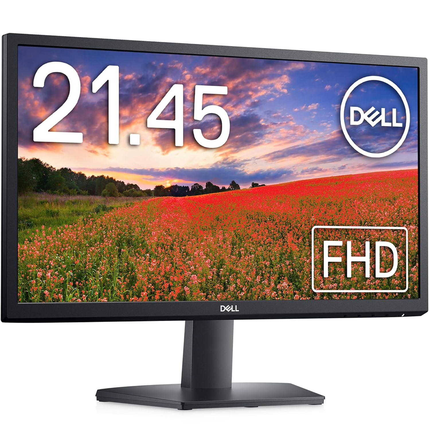 Dell SE2225H 22" (55.88 cm) FHD Monitor 1920x1080 Pixels, Refresh Rate 60Hz, VA Panel, 5-Year warranty, Brightness 250 cd/m², Contrast Ratio 3000:1, Ports: 1 x HDMI 1 x VGA, Adjst Tilt | Black